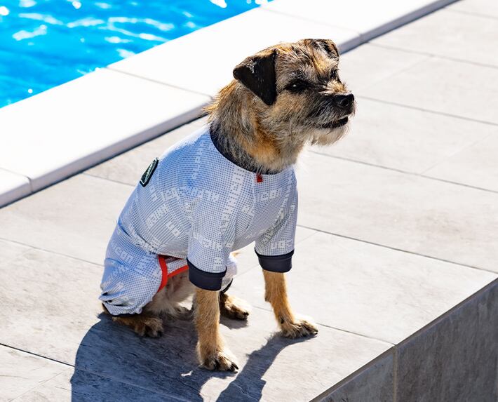 ALPHAICON FULL DOG GUARD⭐︎フルドッグガード⭐︎1X L ALPHACON FULL