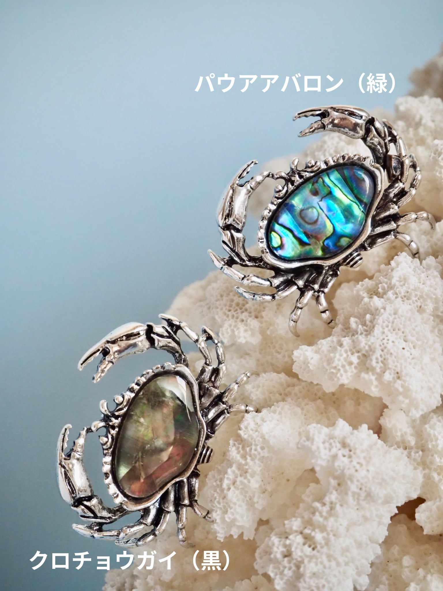 新しい挑戦 カニのブローチ | 貝殻と人魚｜貝殻アクセサリー