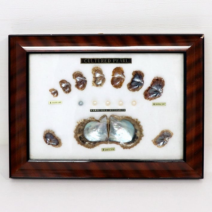 3fec656fa27208ebd8e8c578c8db22