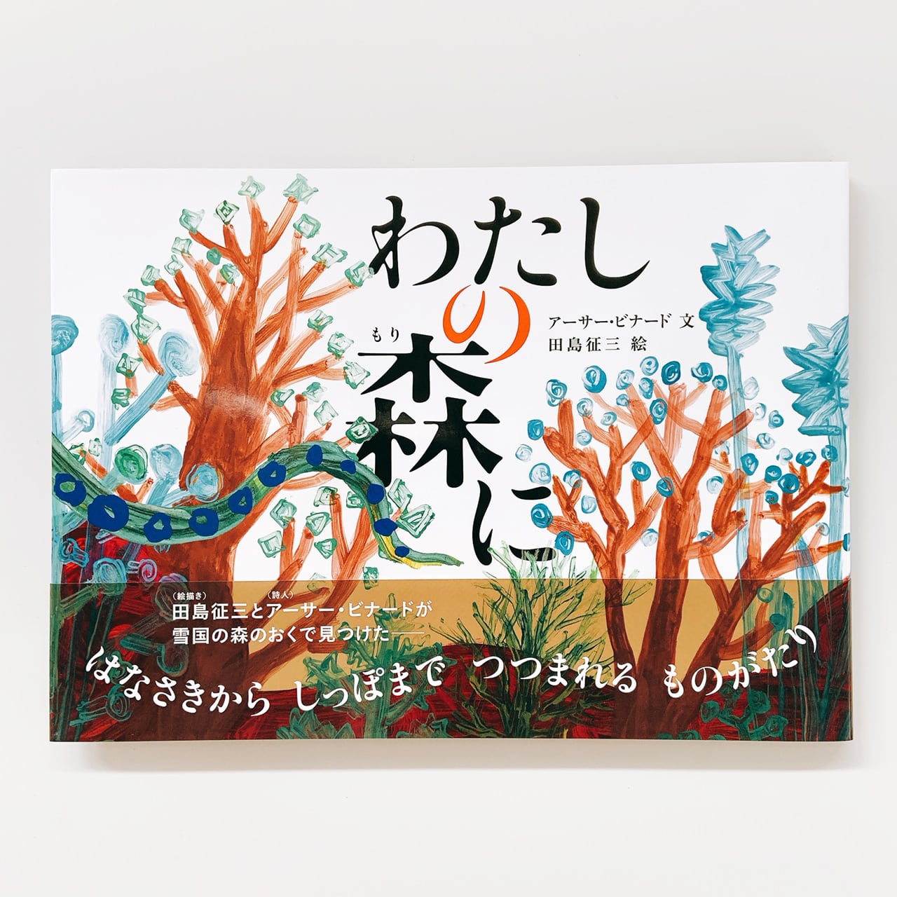 絵本と木の実の美術館グッズ | Echigo Tsumari online shop