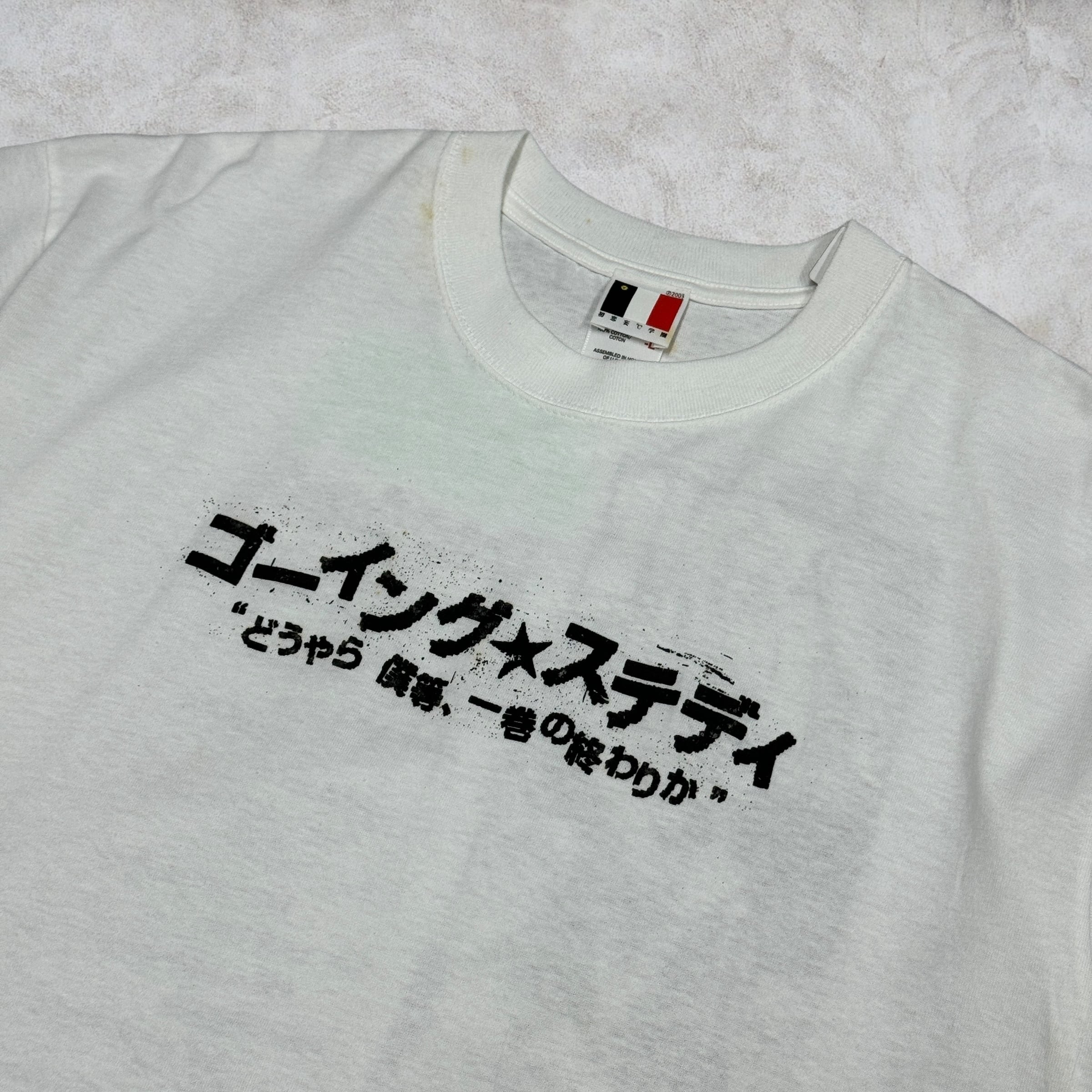⭐️お盆休み特価！ GOINGSTEADY バンドTシャツ 銀杏BOYZ ⭐️お盆休み