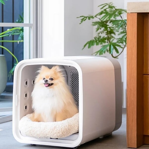 Haru Pet / ペットドライルーム 【nello】 | シャン・ボヌール Chien