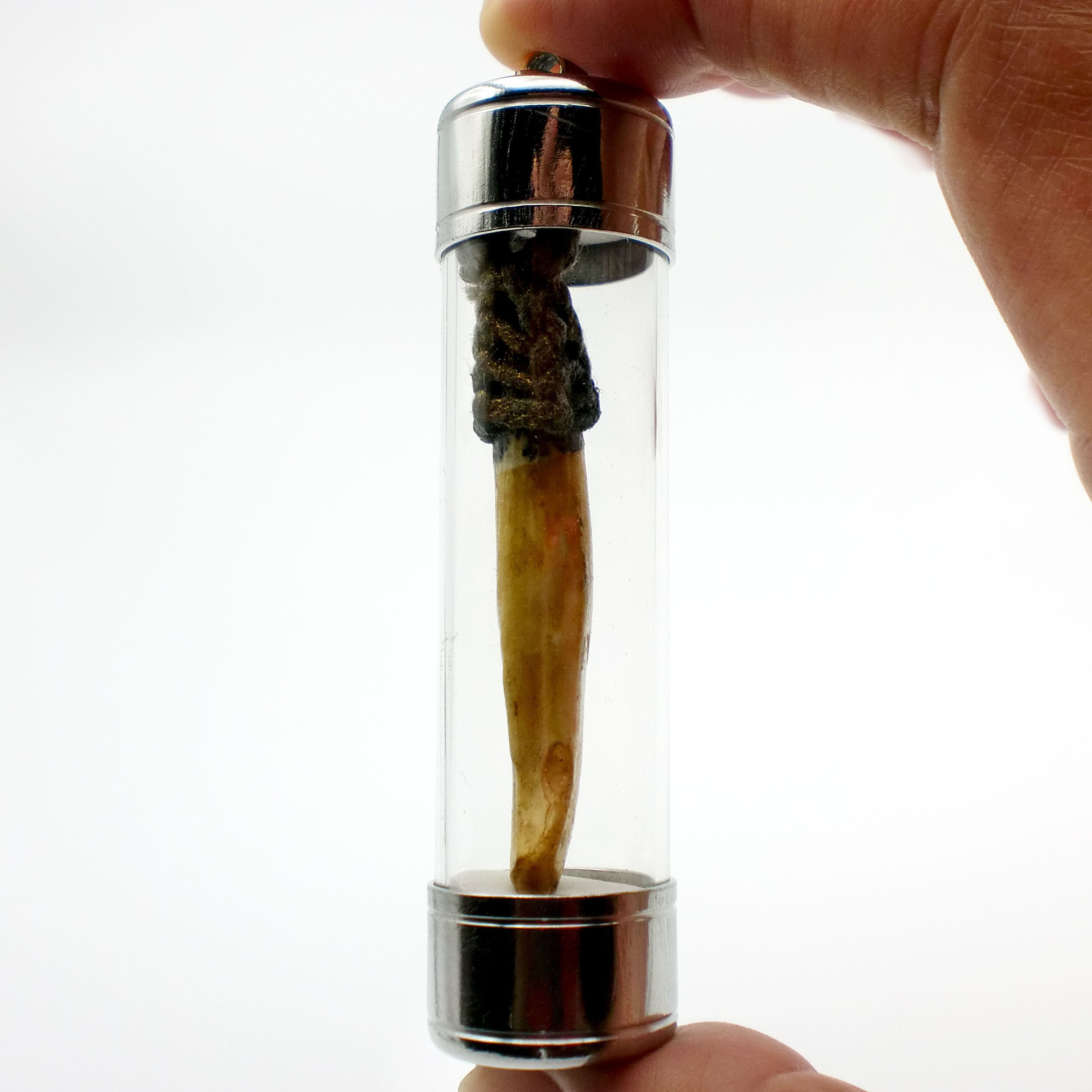 タイ お守り Kiao Suer 虎の牙 厄除け 魔除け 開運 金運 プラクルアン