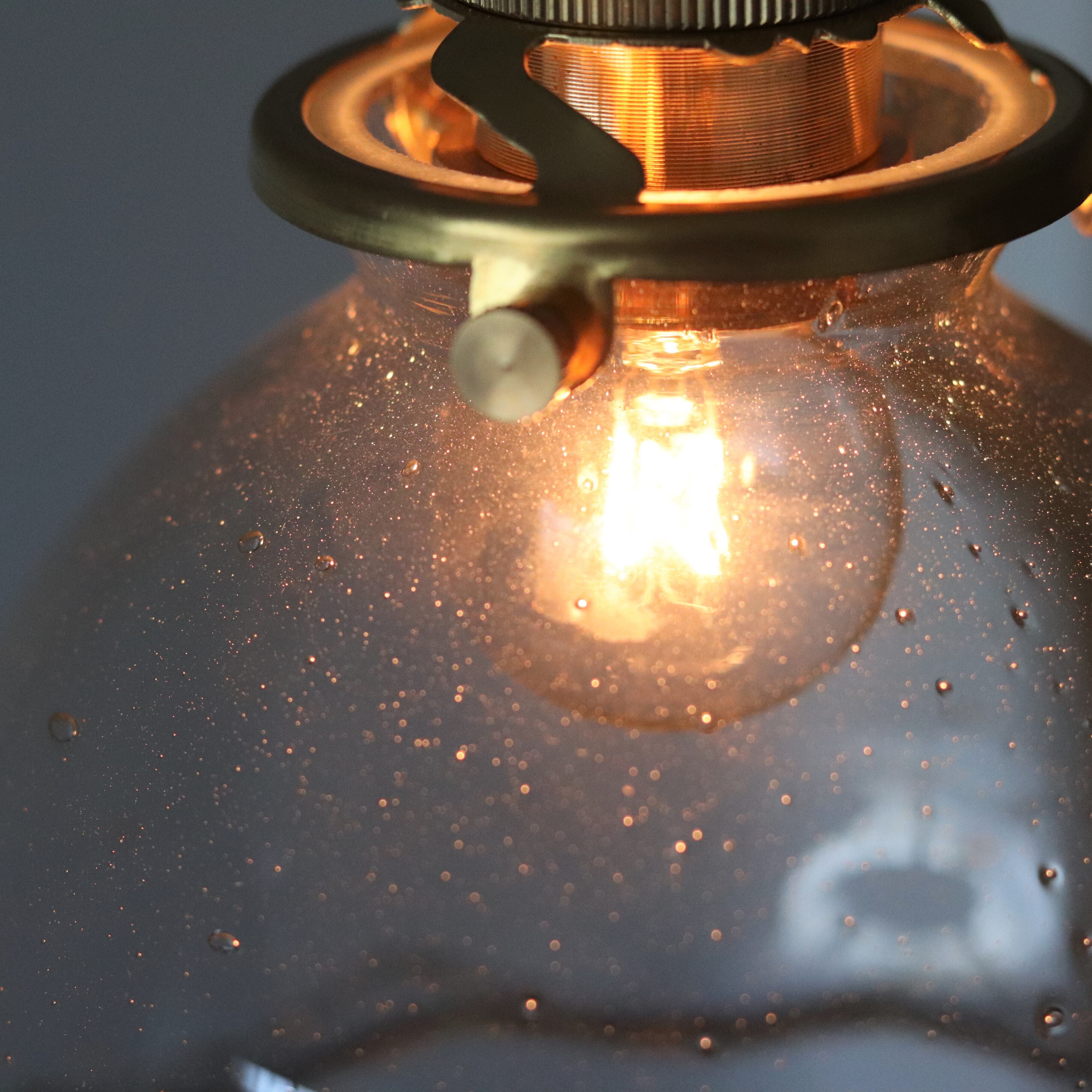 照明】吹きガラスのペンダントライト 金魚【3972,3823,1749】 | ジー