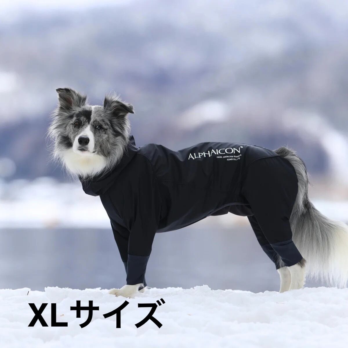 ALPHAICON エアライナー S アルファアイコン エアーライナー S 撥水