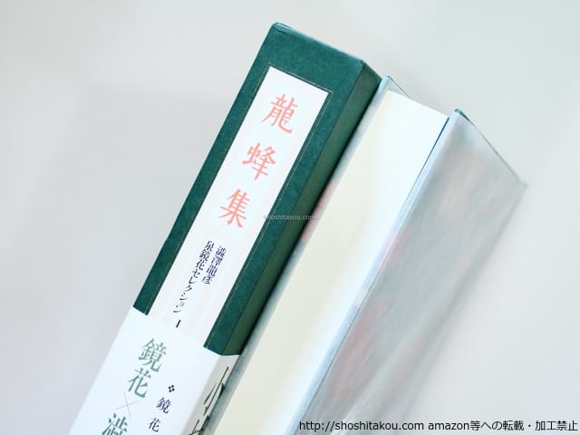 澁澤龍彦泉鏡花セレクション1 龍蜂集 / 泉鏡花 澁澤龍彦編 山尾悠子