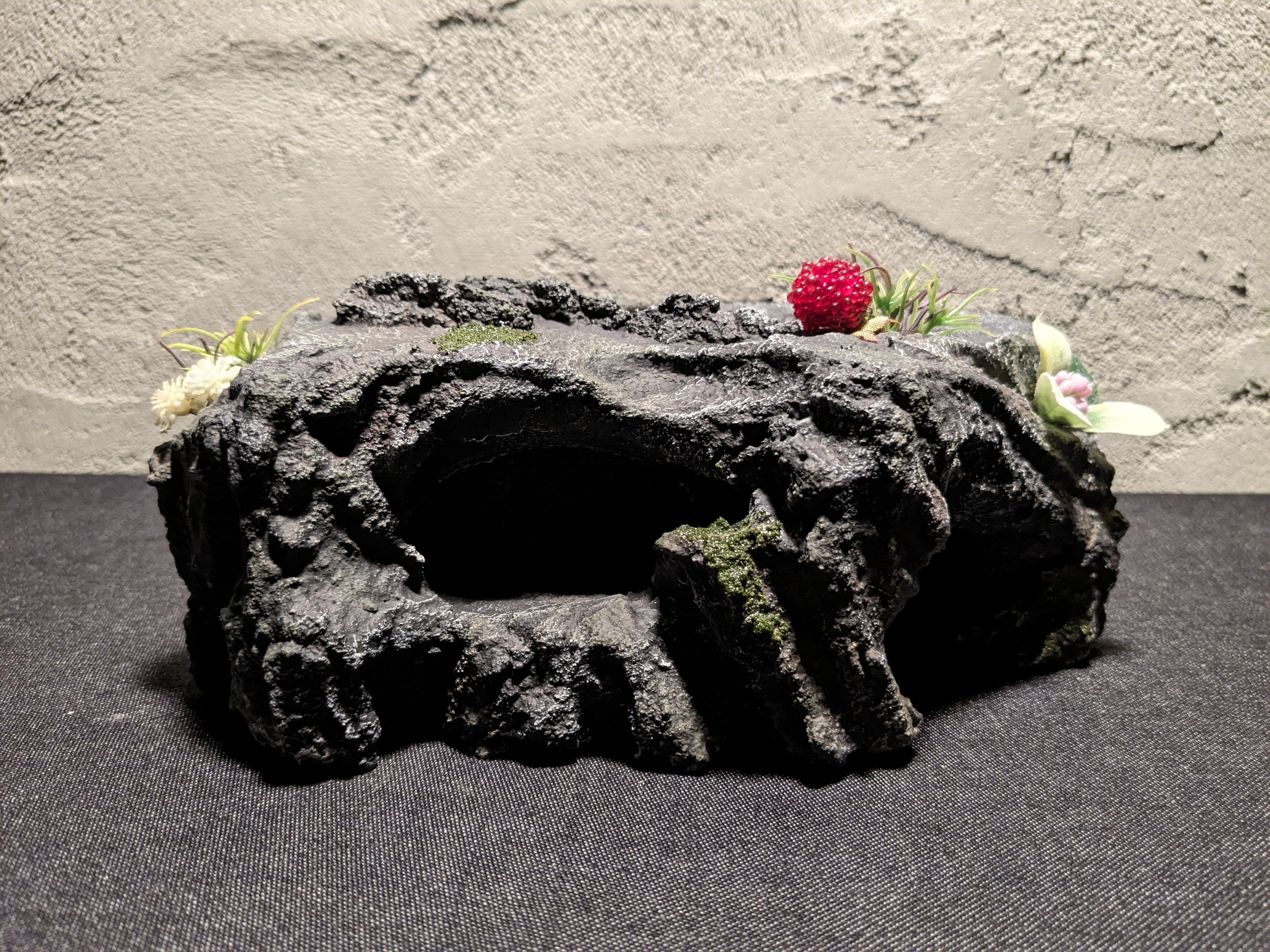 奏 Kanade】オリジナル ウェットシェルター（ブラック） | 爬虫類用