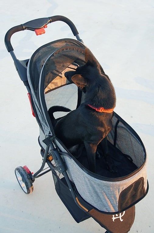 Petique ペティーク グレーシア ペットストローラー ペットカート