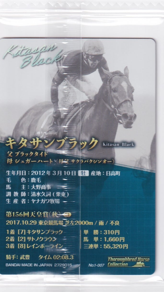 金箔サイン付)キタサンブラック：第156回 天皇賞(秋)「サラブレッド