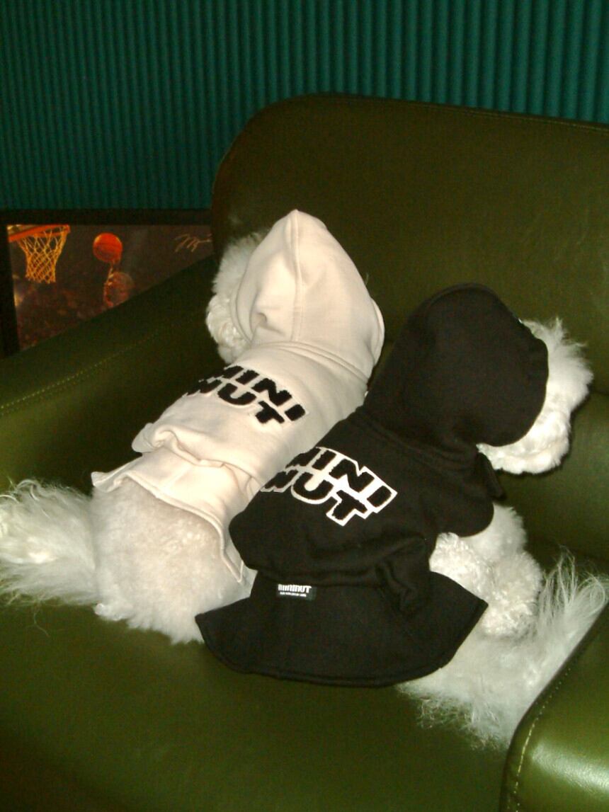 即納【mininut】logo patch hoodie（3color） | ropet