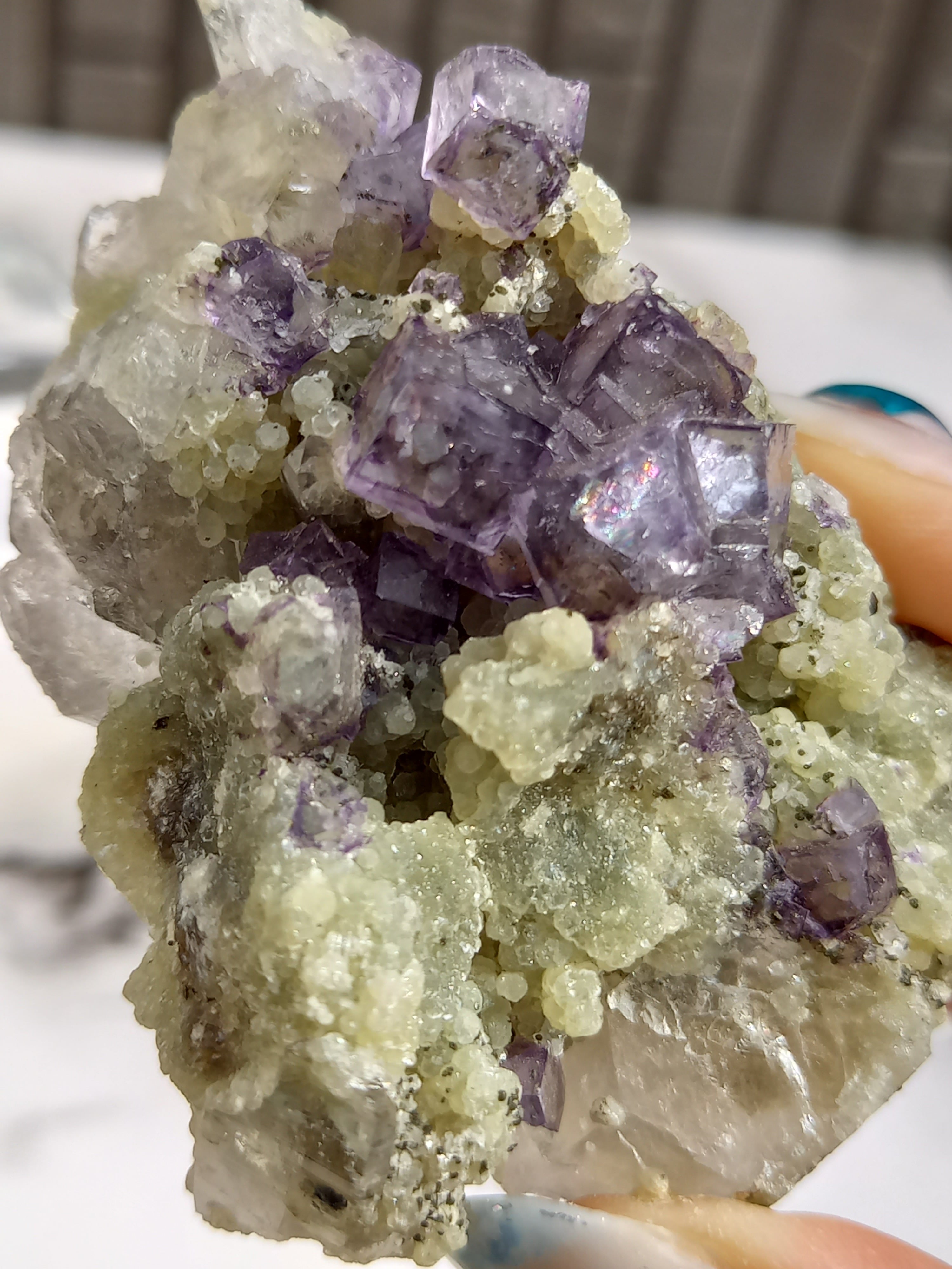 アフガナイト パイライト 鉱物標本 原石 天然石 ストーン 蛍光 カラー