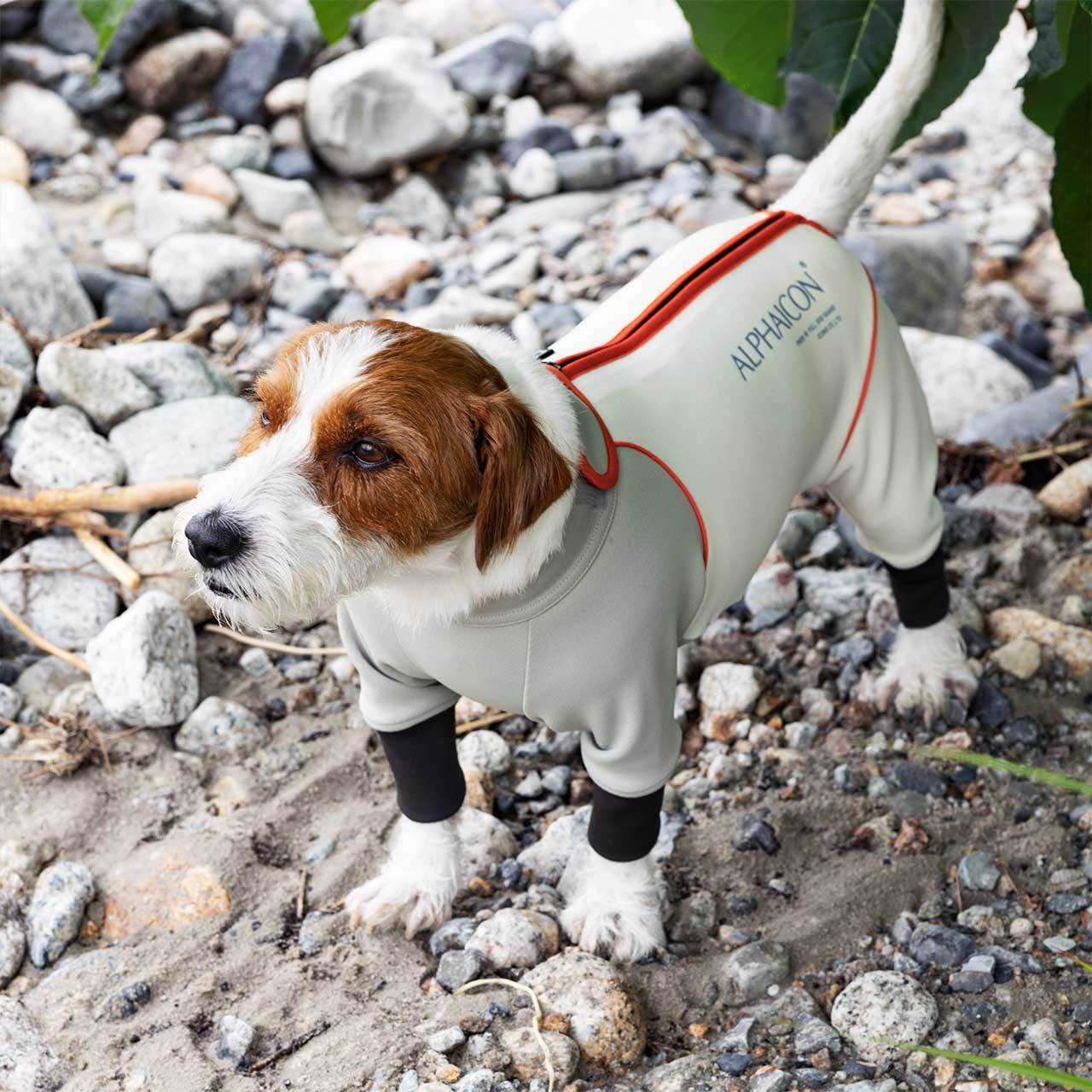 ALPHAICON アルファアイコン】ダブルフルドッグガード L ALPHAICON