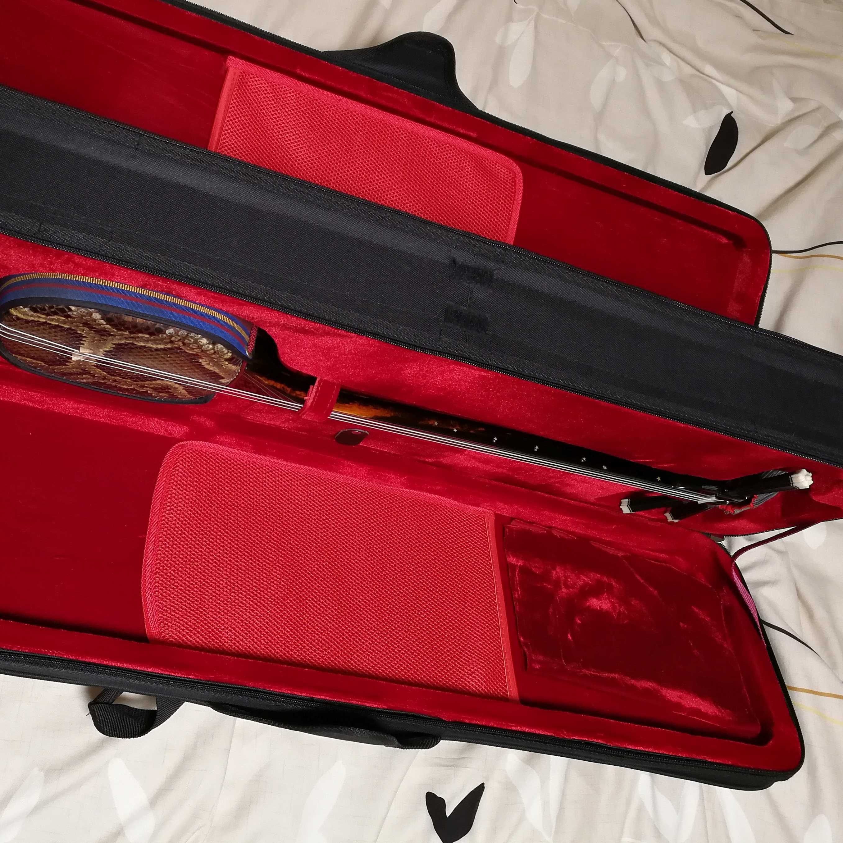 2本入る両開きの三線セミハードケース【取寄せ品】 | ryukyunukaji