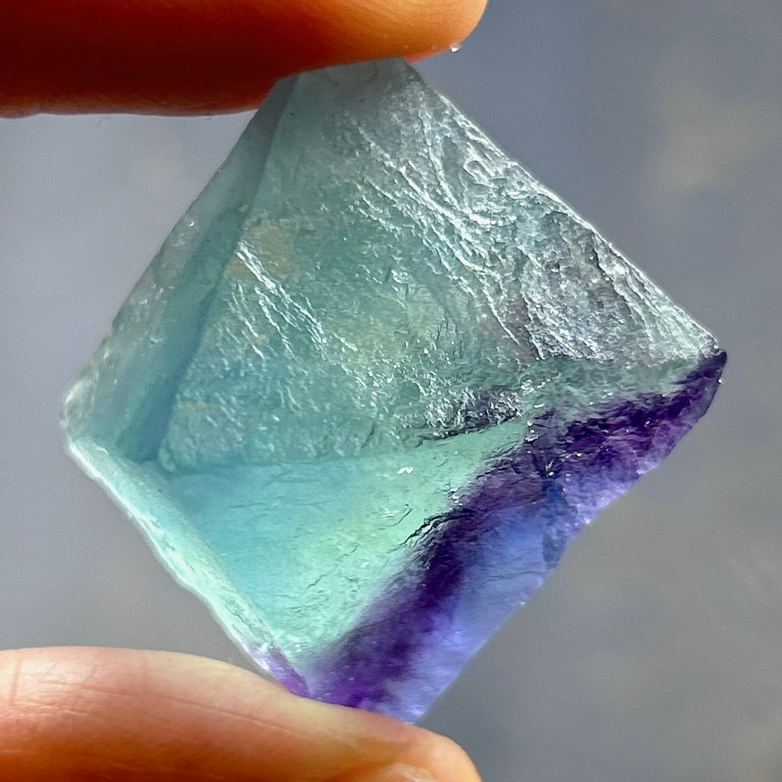 dfbc999b7bb741b62c16d9a5009d32