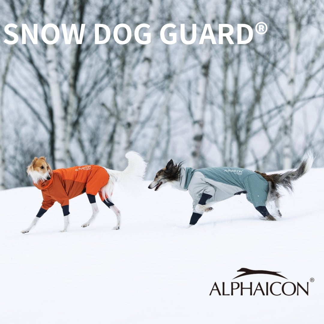 ALPHAICON （アルファアイコン）スノードッグガード サイズS S