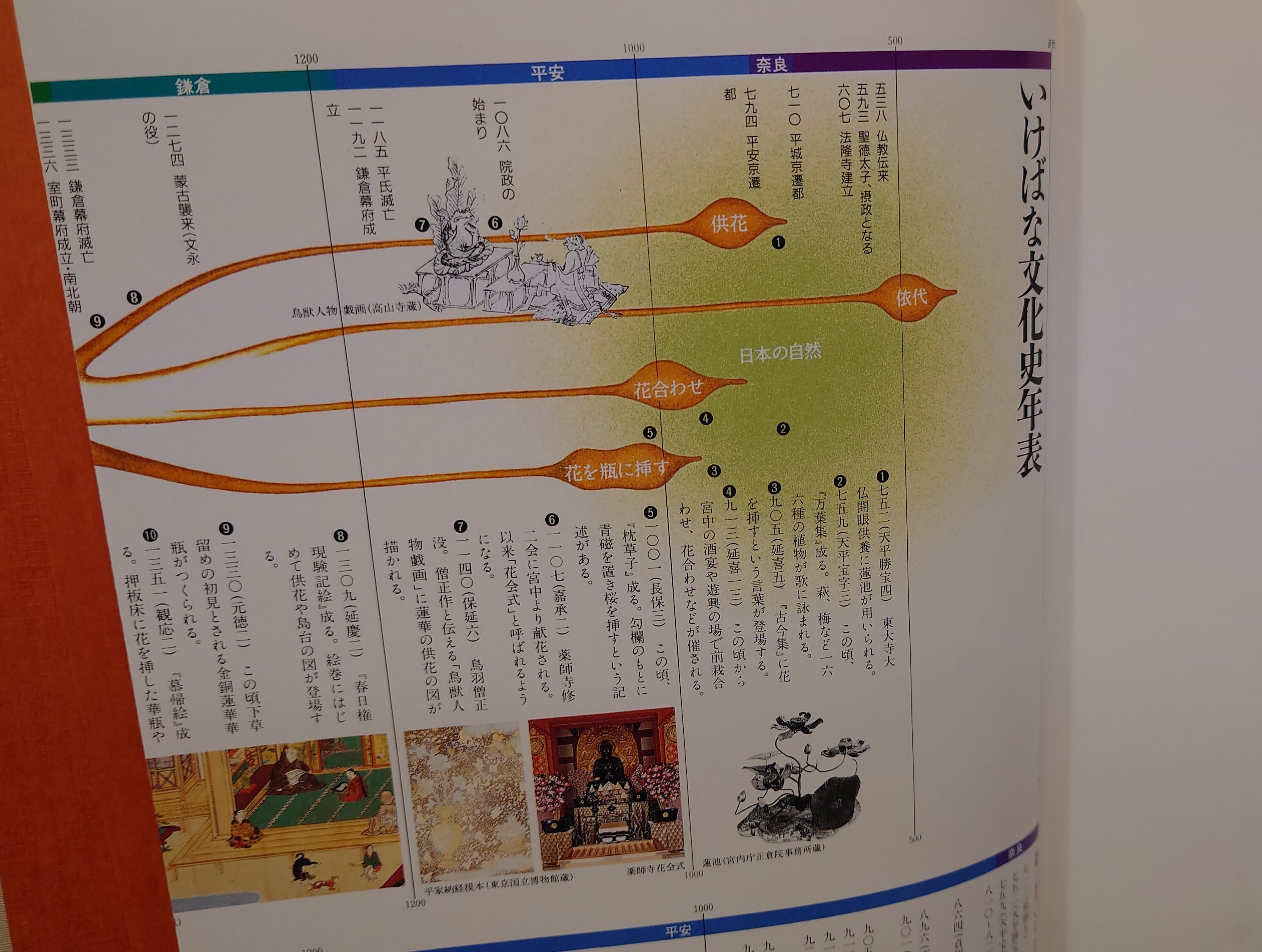 日本いけばな文化史 全5巻セット | 弥生坂 緑の本棚