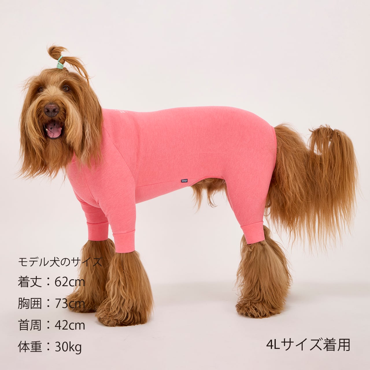 SKIN TIGHT SUIT（3L.4L.5L）スキンタイトスーツ | MANDARINE BROTHERS