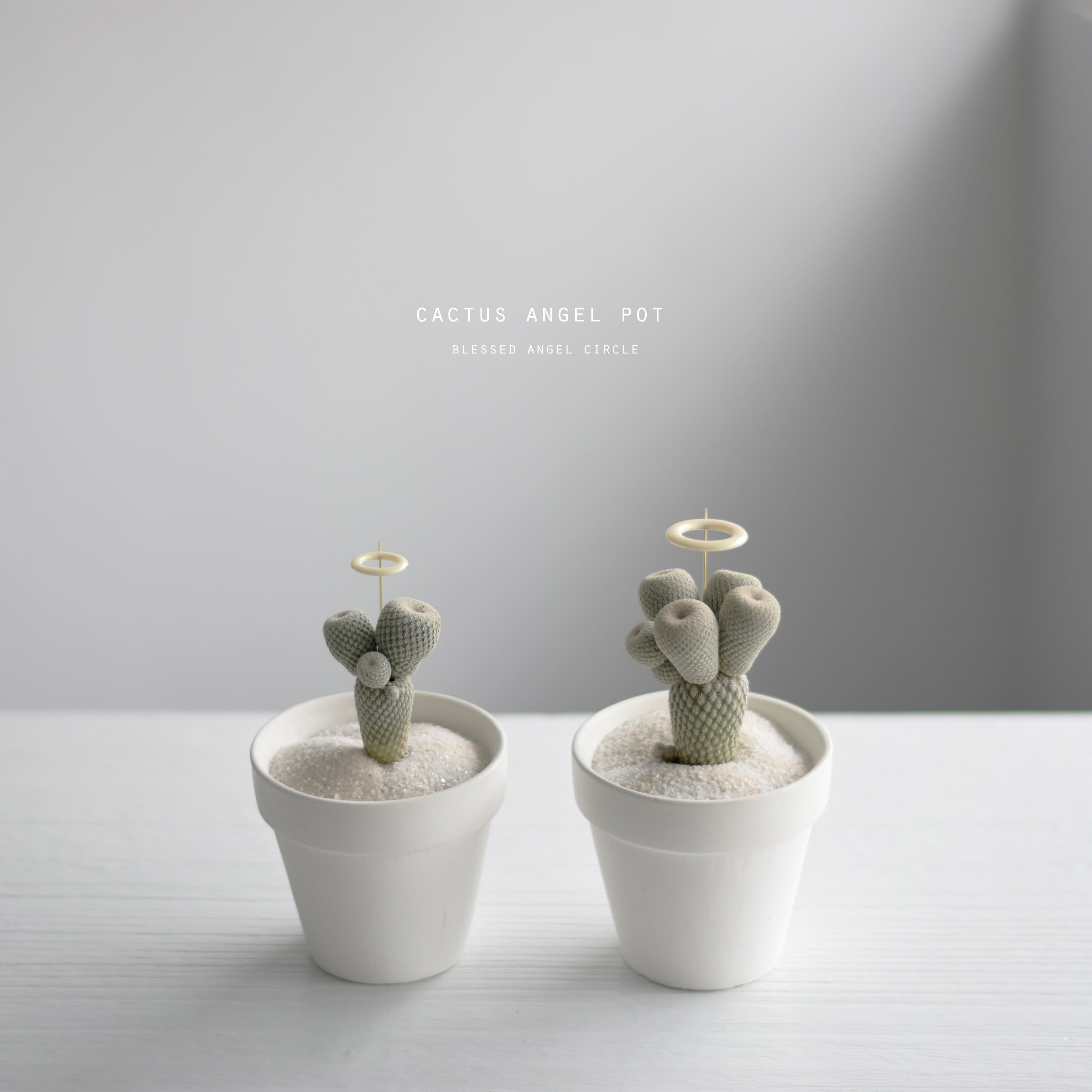 サボテン天使（モフモフ） | Sabotensi