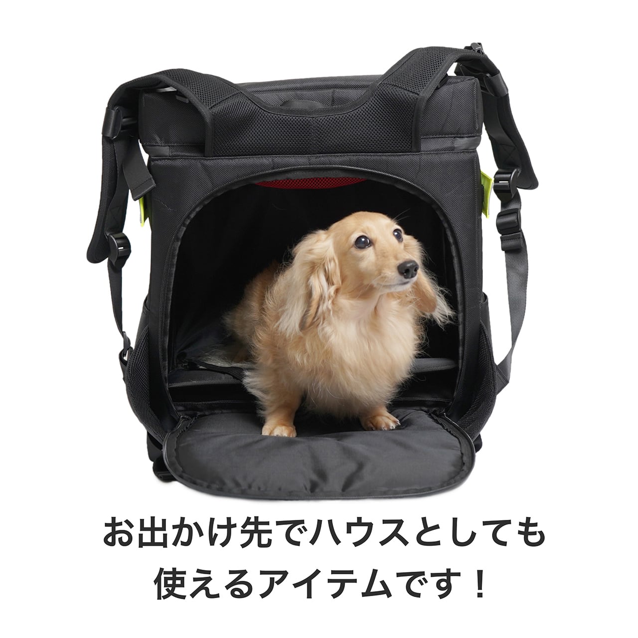 マンダリンブラザーズ ROOT CARRY BACKPACK 【Mandarine Bros.】ルート