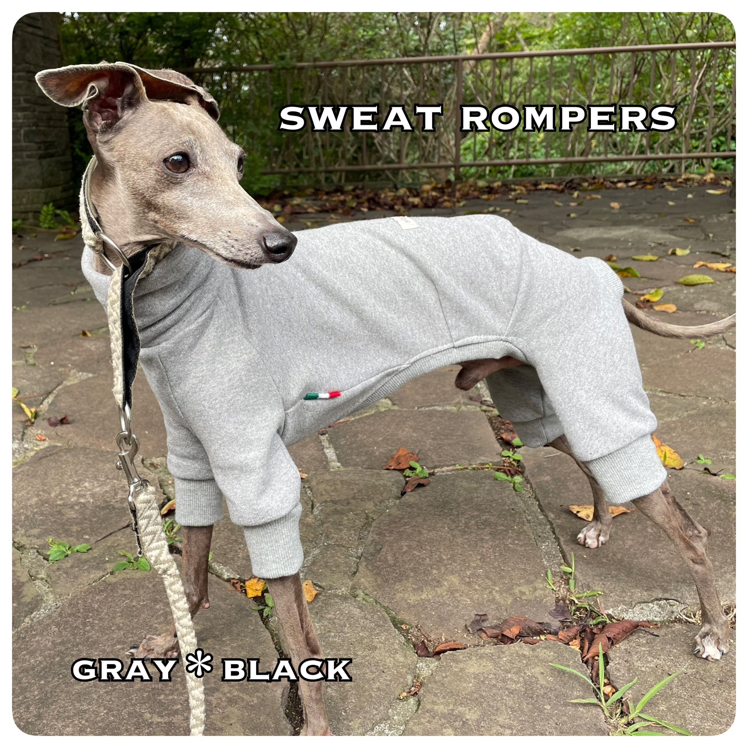 f762b7786a34d56ab0fc32a92908ef