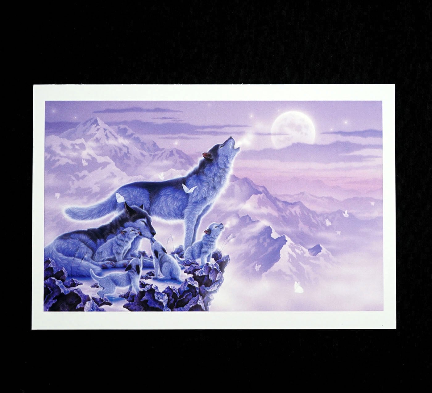 ポストカード「オオカミ」 | 西野健太郎アートショップ