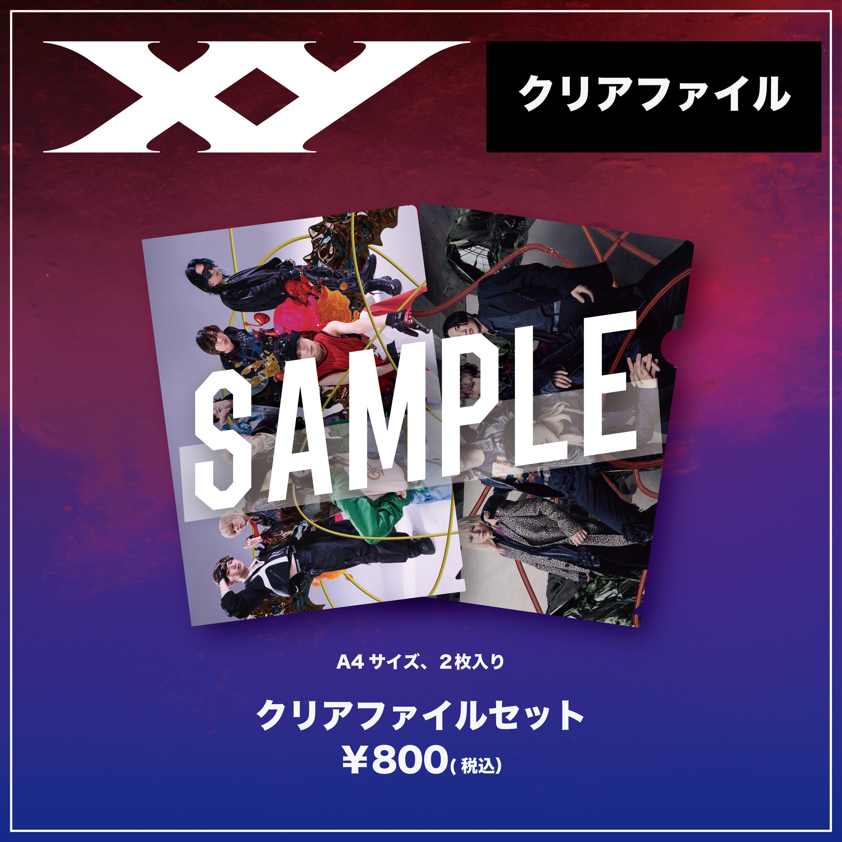 クリアファイル2枚入りセット / Set of 2 clear files | XY Official