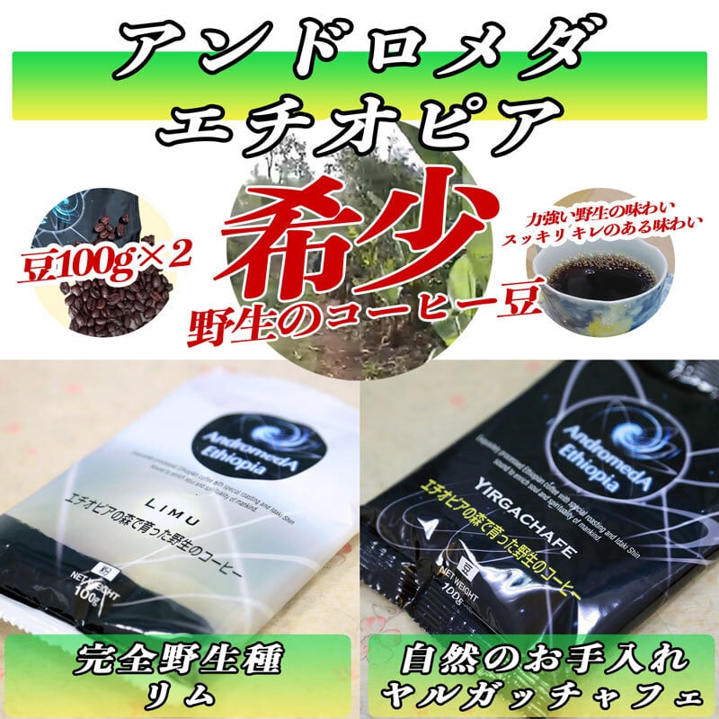 ドリップバッグ50個セット☆リム・アンドロメダ エチオピアコーヒー