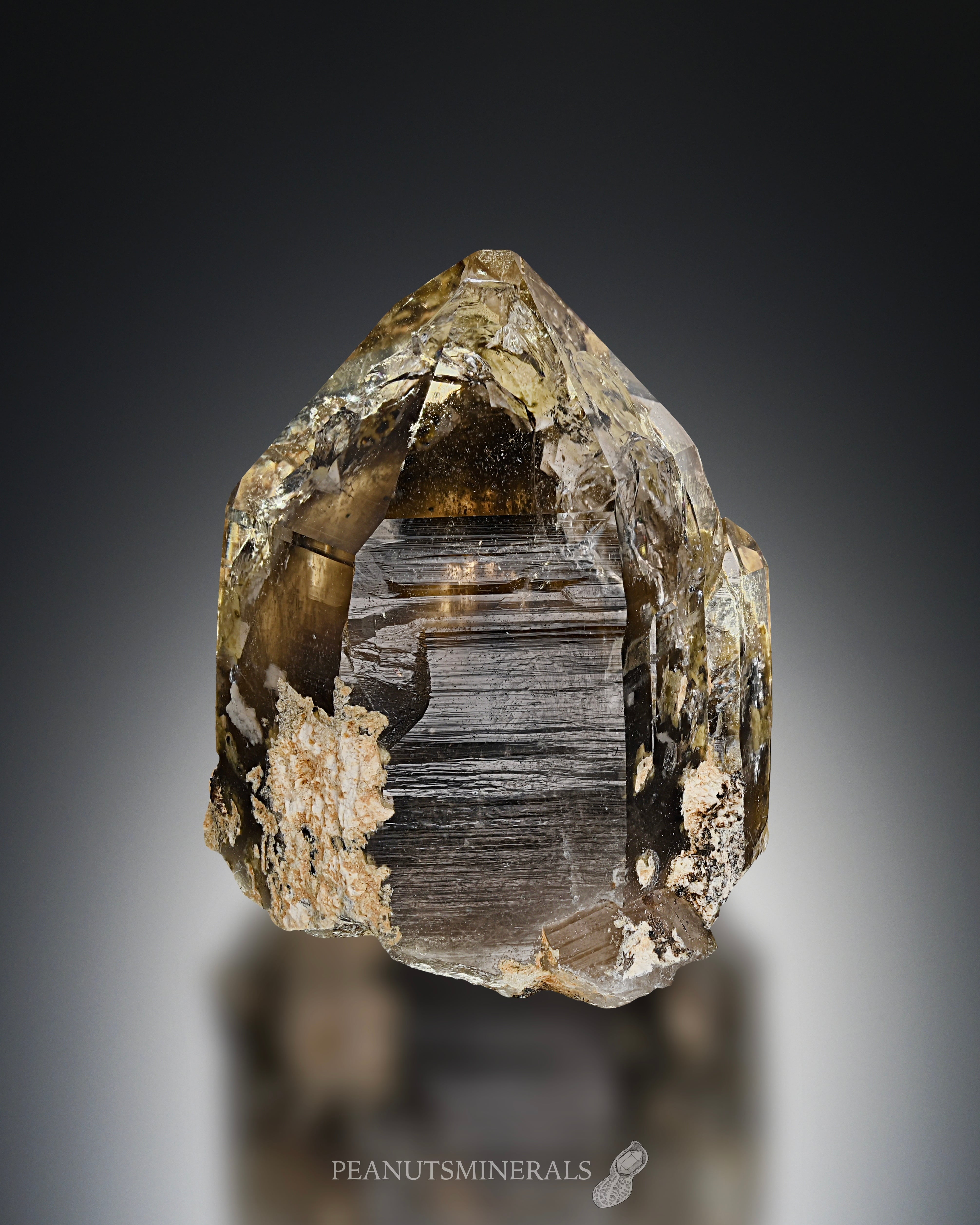 煙水晶 / スモーキークォーツ【Smoky Quartz】岐阜県産 | PEANUTS MINERALS