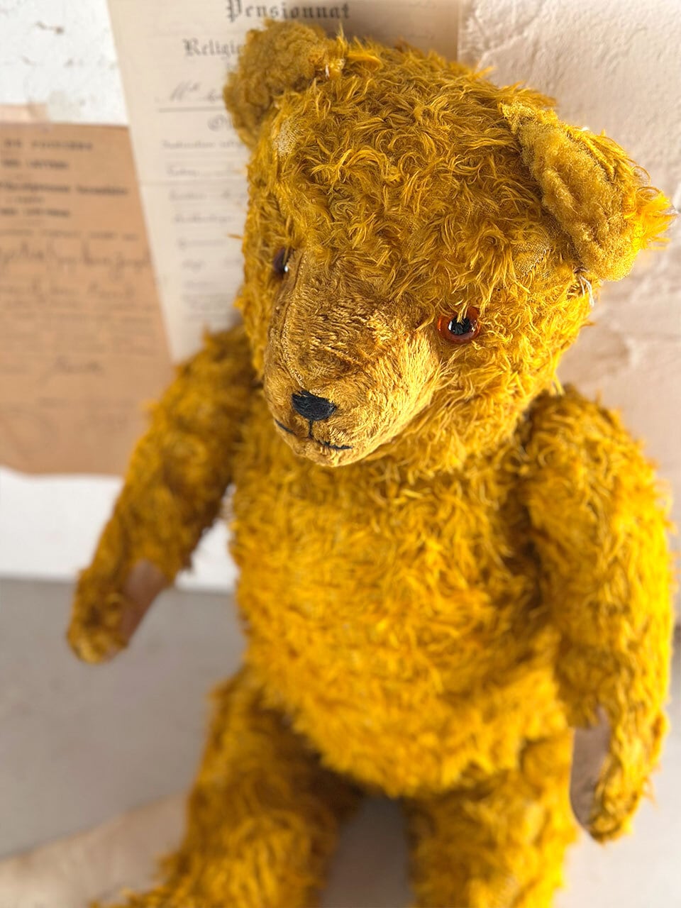 イエローベア 黄金色 クマのぬいぐるみ | Brocante de La Cocotte