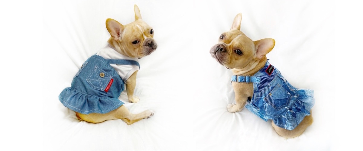 ○犬服○ハンドメイド 胴55 NO.576 フレブル パグ