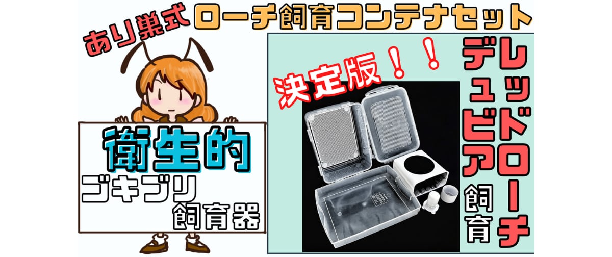 あり巣 in underground（蟻の総合店,飼育用品と女王アリ）