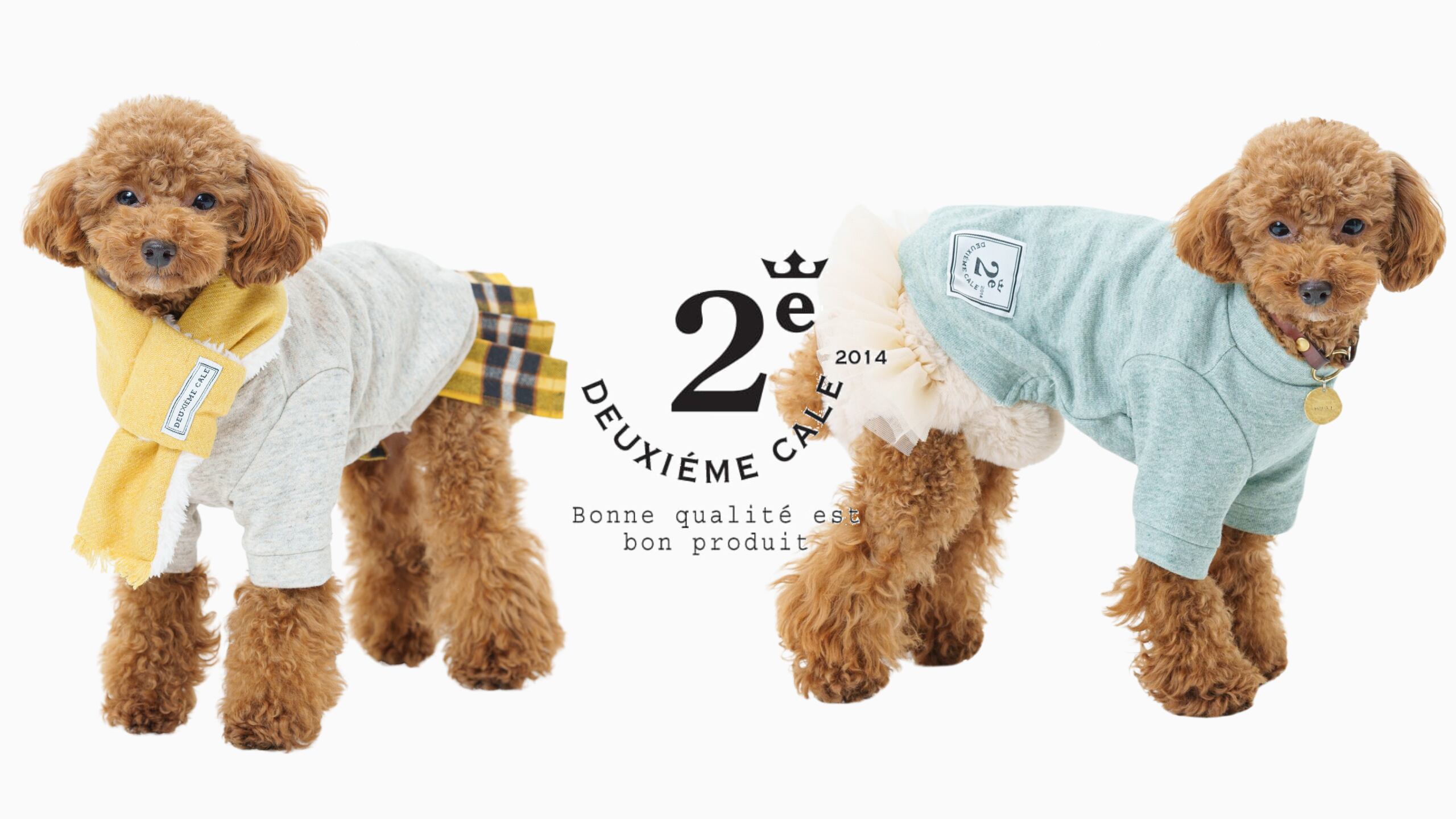 犬服 M わんこの普段着レトロデイジー