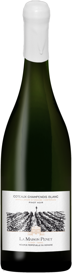 コトー・シャンプノワ・ブラン、ピノ・ノワール プネ=シャルドネを購入