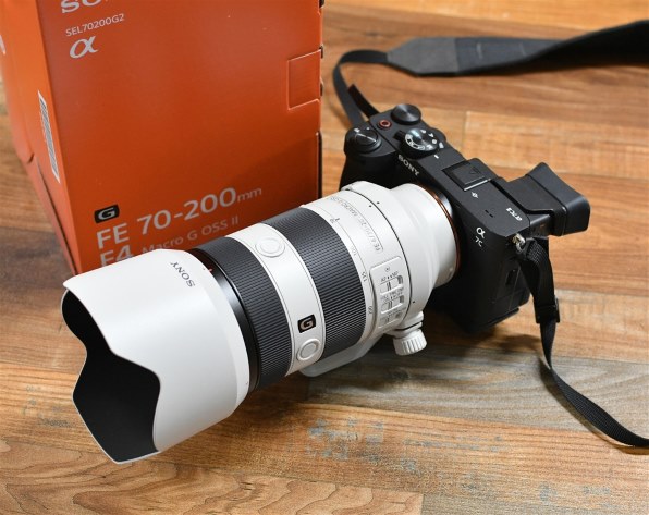 ニコン D500 ボディで撮影された写真 - 価格.com