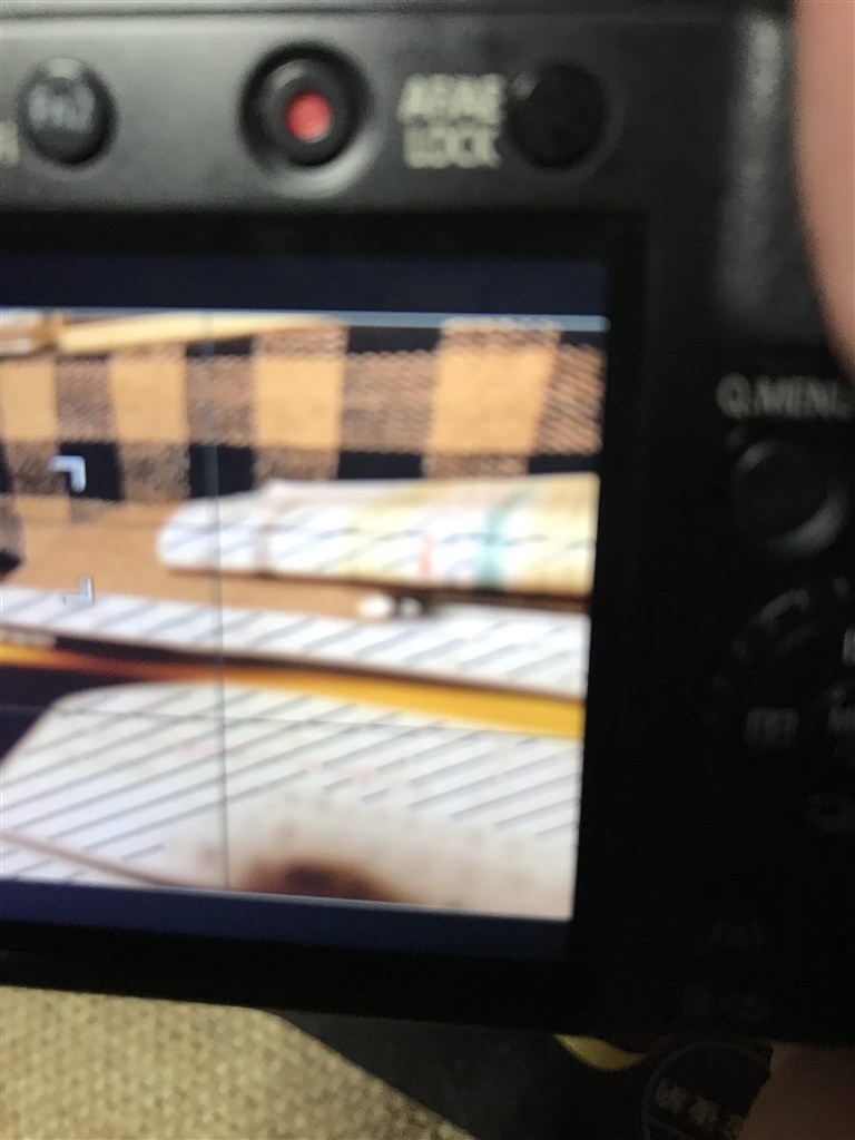 画面に斜め線が表示される？』 パナソニック LUMIX DMC-LX100 の