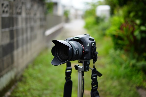 SONY DT35mm F1.8 SAM SAL35F18で撮影された写真 - 価格.com
