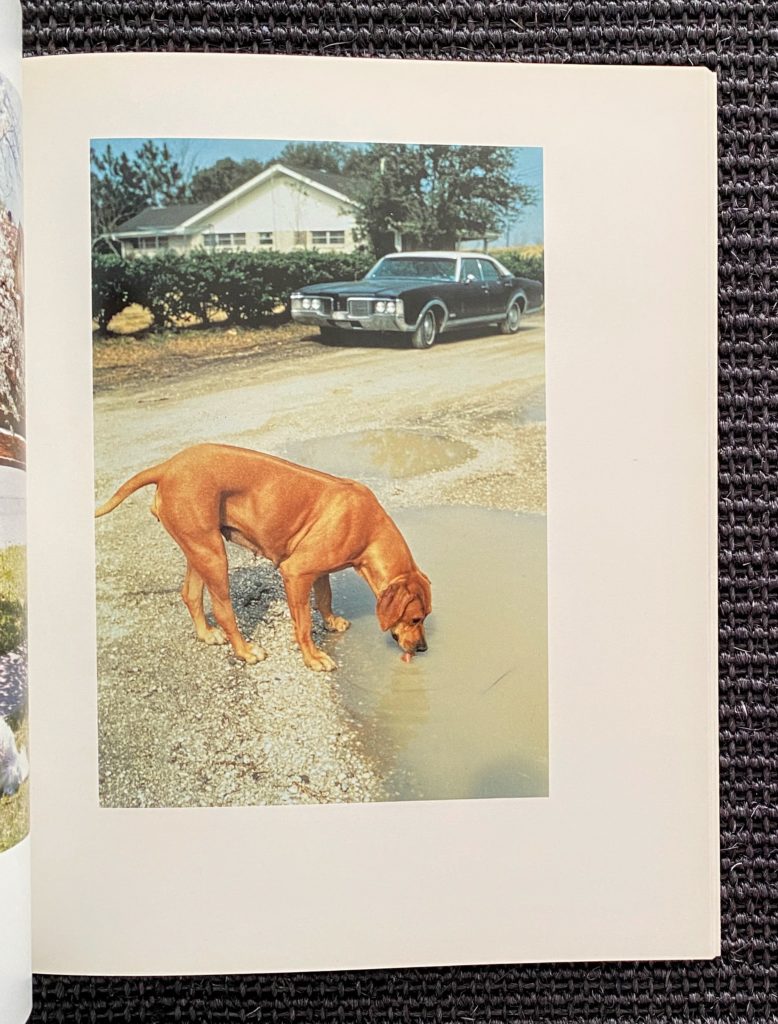 William Eggleston 写真集 Horses and Dogs William Eggleston