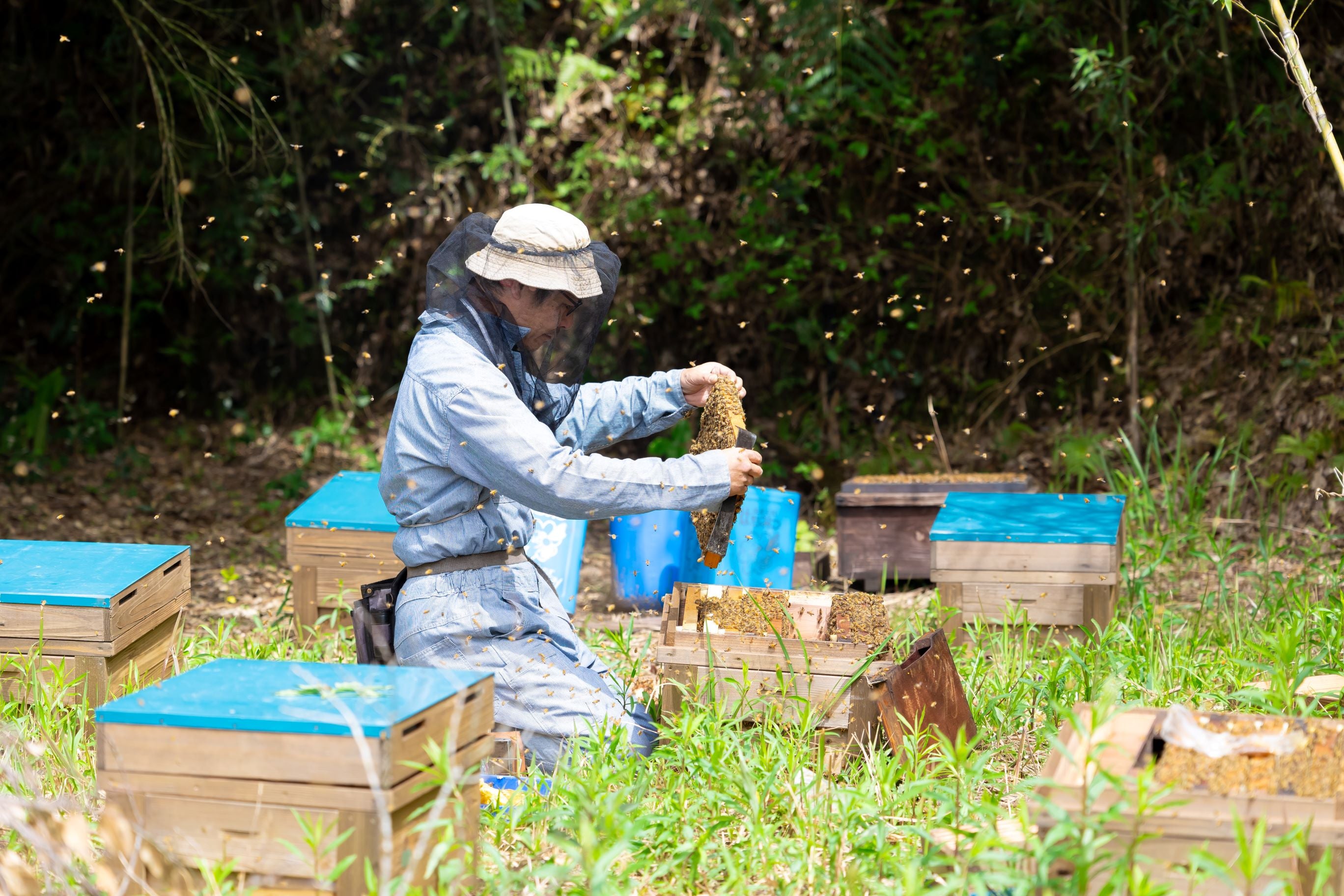 BEE CONNECTオフィシャルショップ