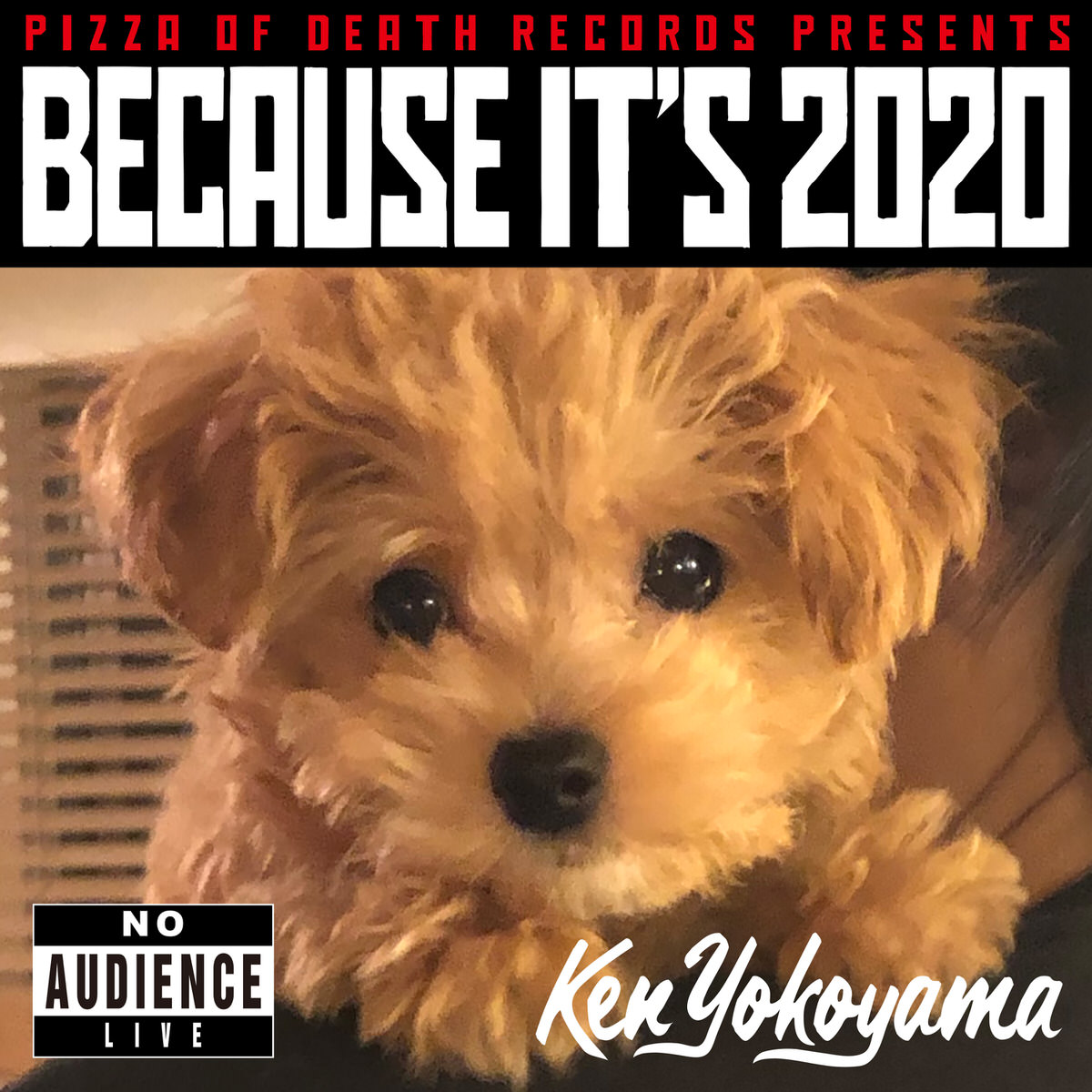 Ken Yokoyama | PIZZA OF DEATH RECORDS PRESENTS [ BECAUSE IT'S 2020
