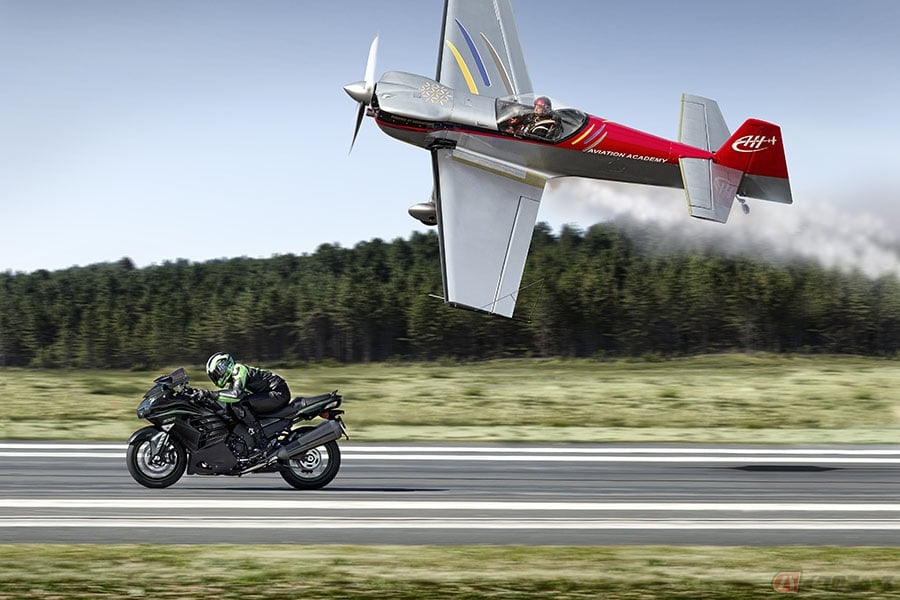 アメリカハヤブサ アメリカハヤブサ アメリカハヤブサ Amazon | TSP