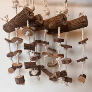 BirdARCADIA™ アーカイブ - BirdARCADIA™