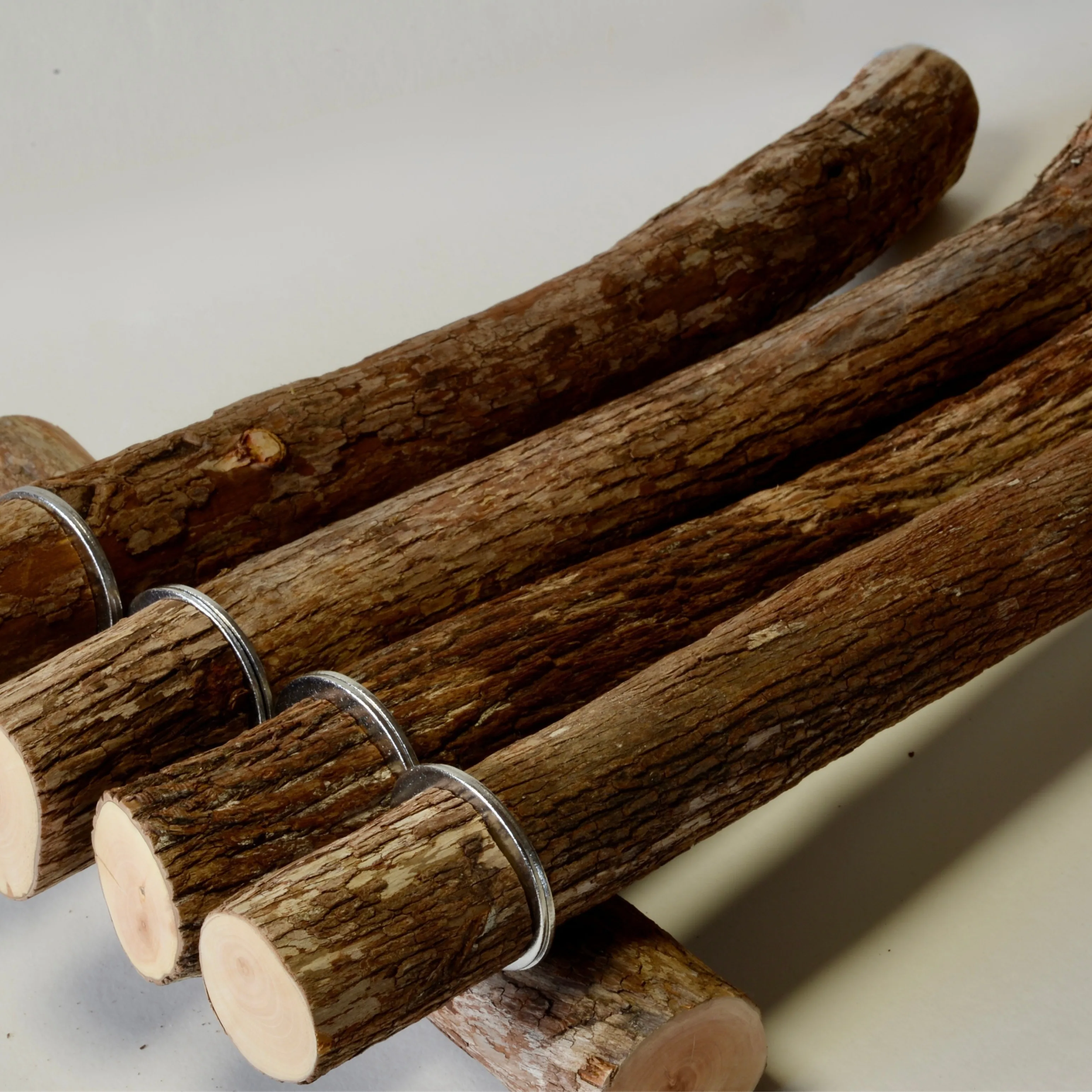 大型インコ用 天然木止まり木 ドラゴンウッド Lサイズ｜BirdARCADIA公式