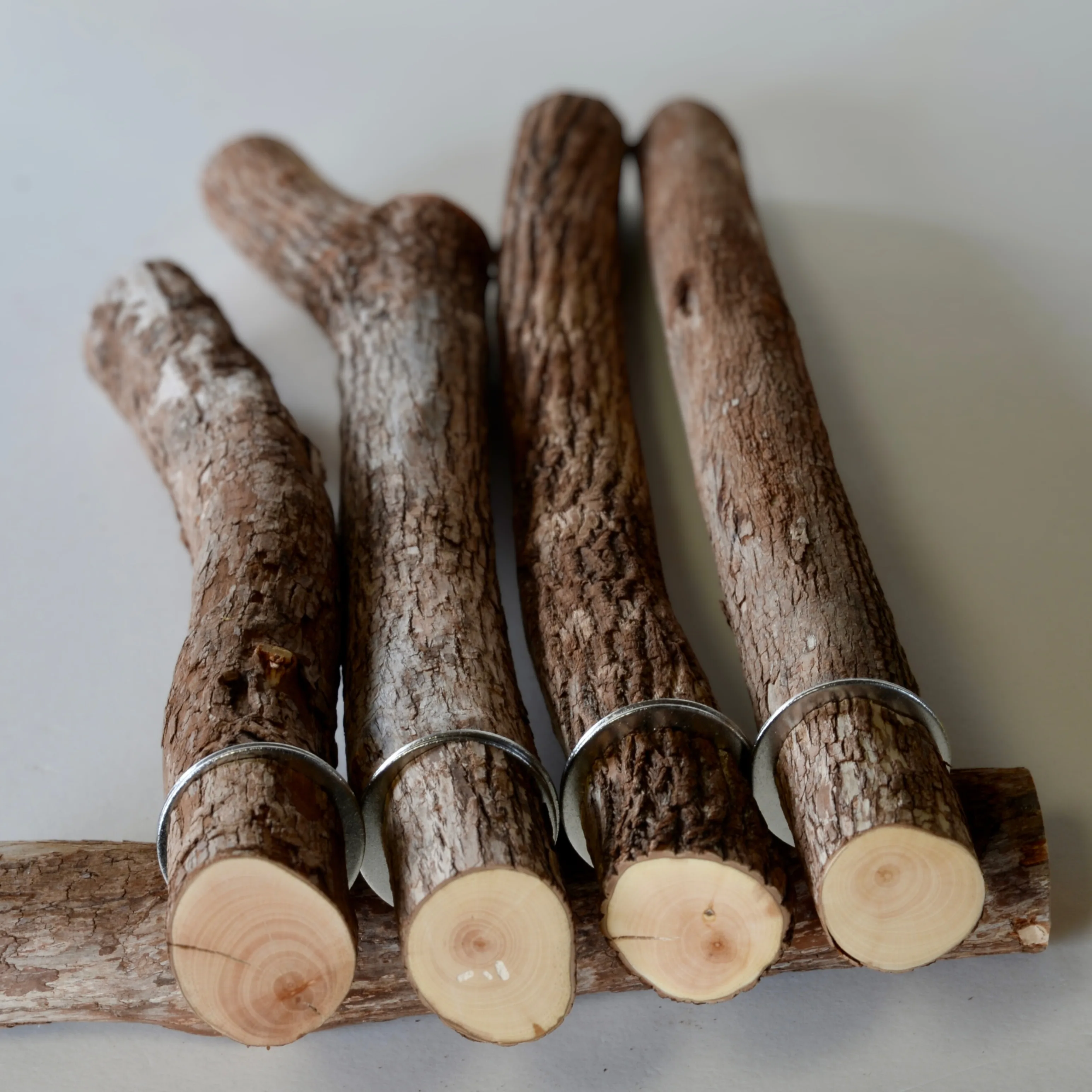 大型インコ用 天然木止まり木 ドラゴンウッド Lサイズ｜BirdARCADIA公式