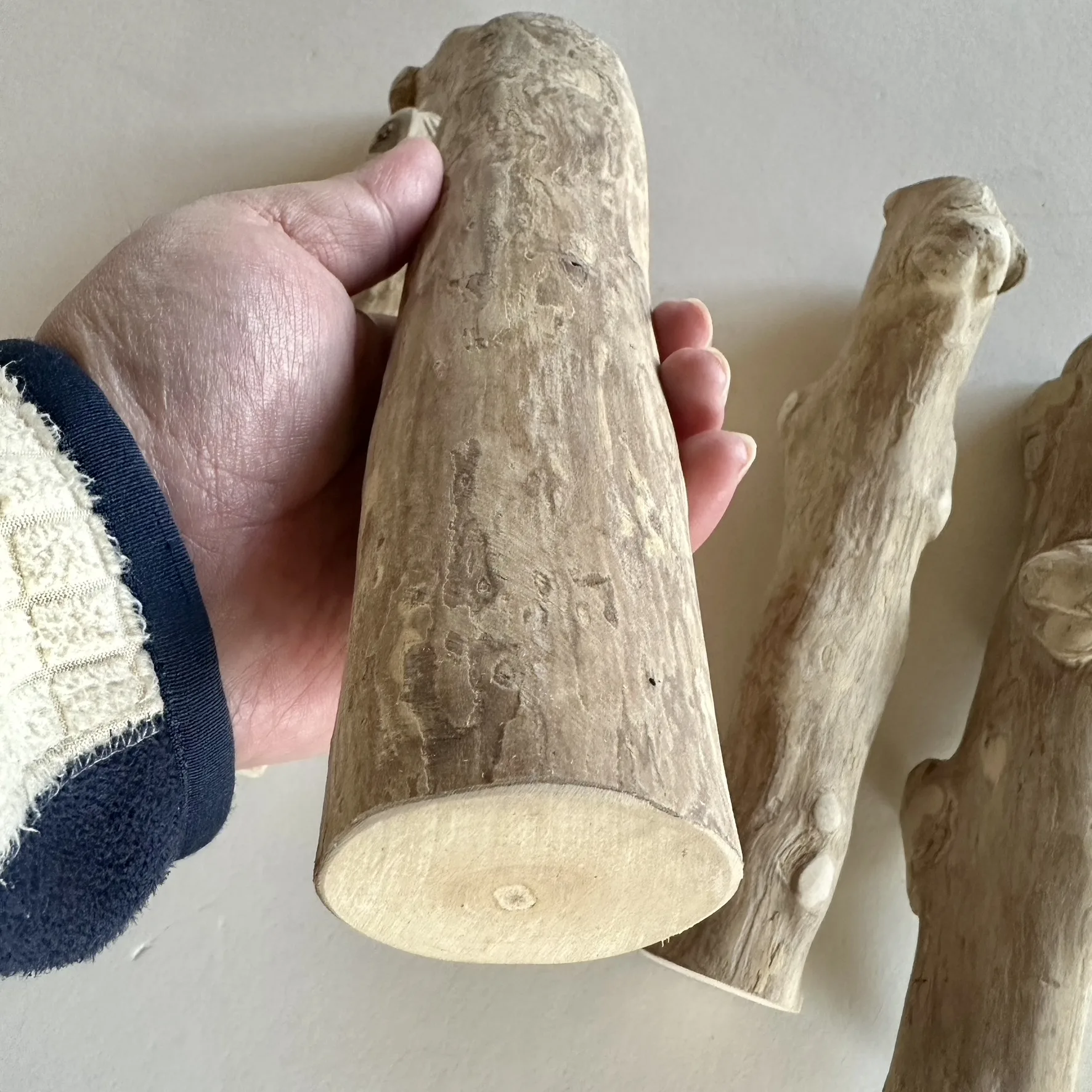 超大型インコ用 天然木止まり木 ジャワウッド L・XLサイズ