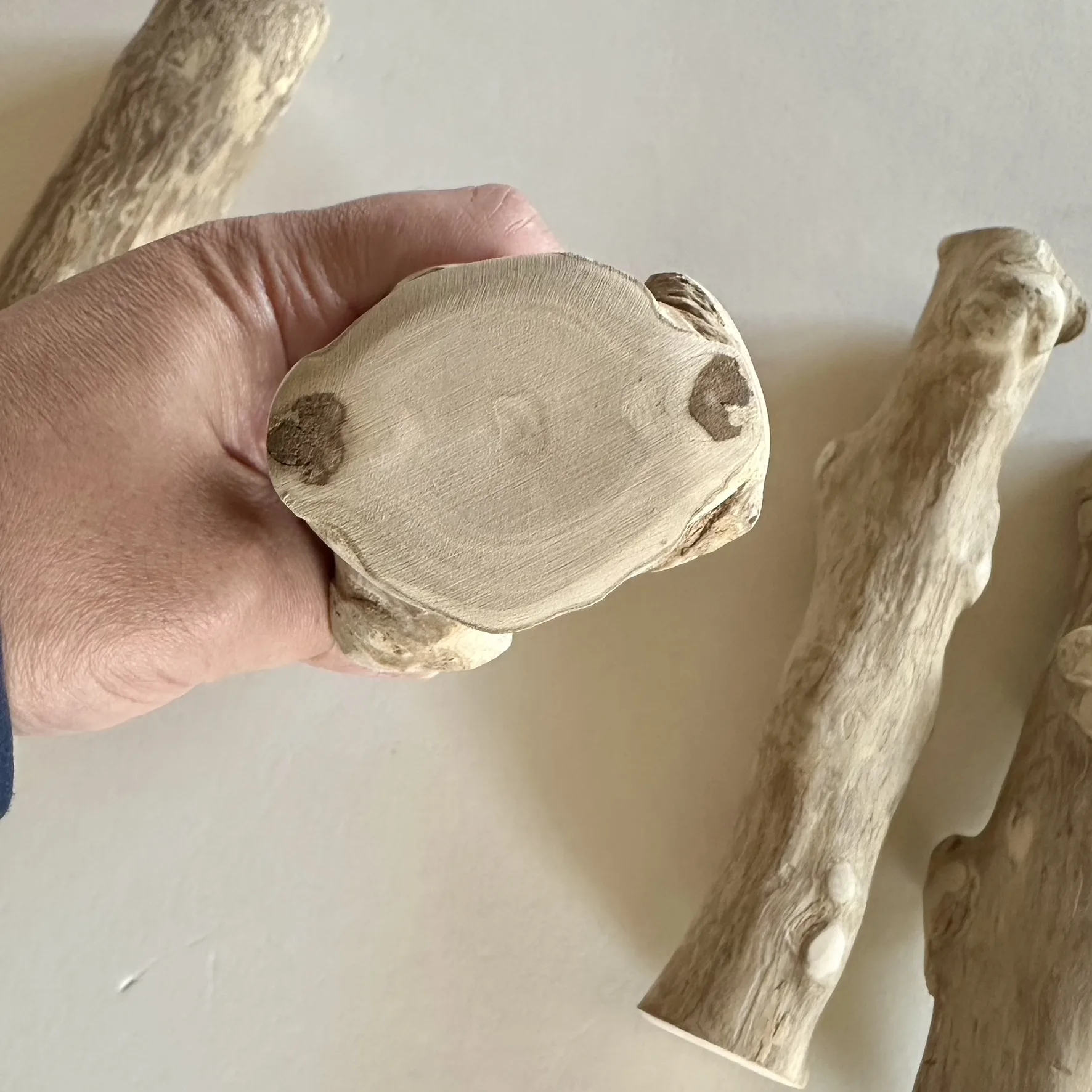 超大型インコ用 天然木止まり木 ジャワウッド L・XLサイズ