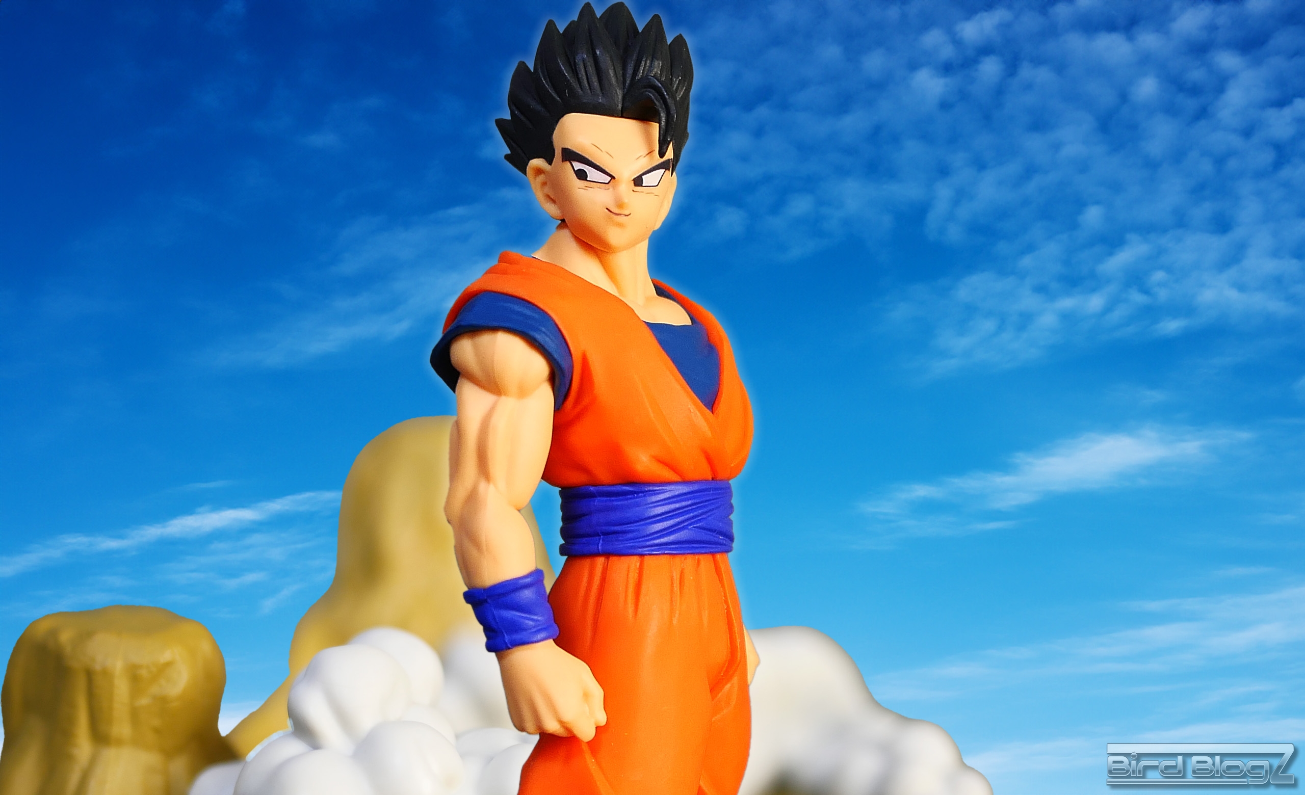 ドラゴンボールZ History Box vol.11 | | BirdBlog-Z