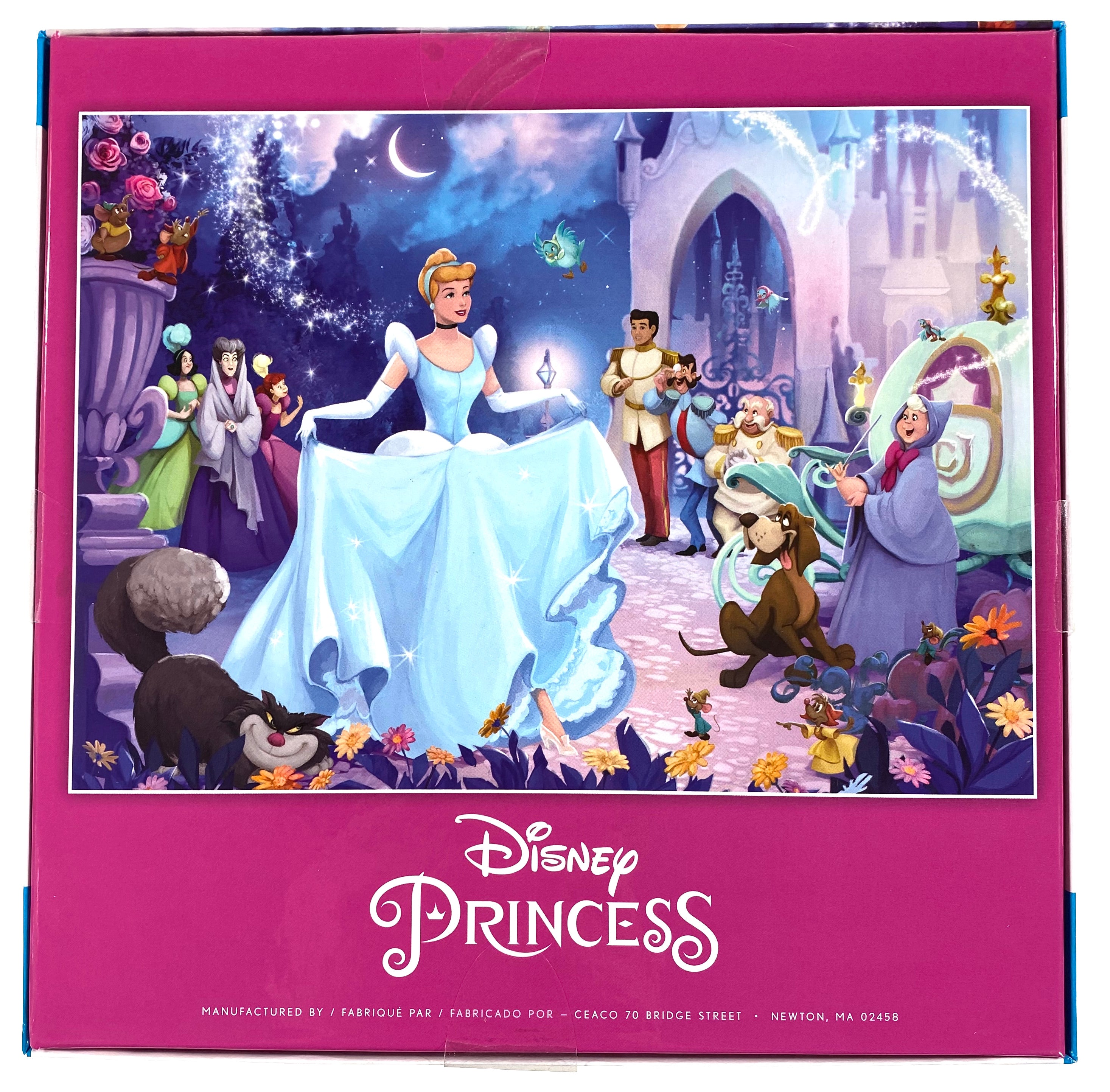 Disney Princess Cinderella 1000 Piece Puzzle — Bird in Hand