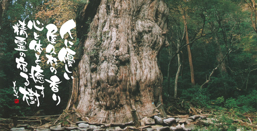 昭和51年創業屋久杉の美秋工芸|屋久杉製造販売