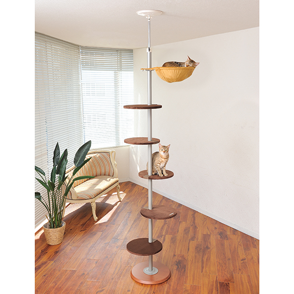 ボンビアルコン オンラインショップ / キャットポール