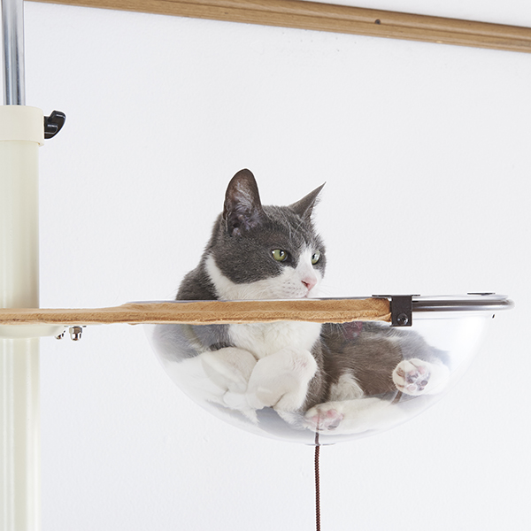 ボンビアルコン オンラインショップ / キャットポール クリアハンガー